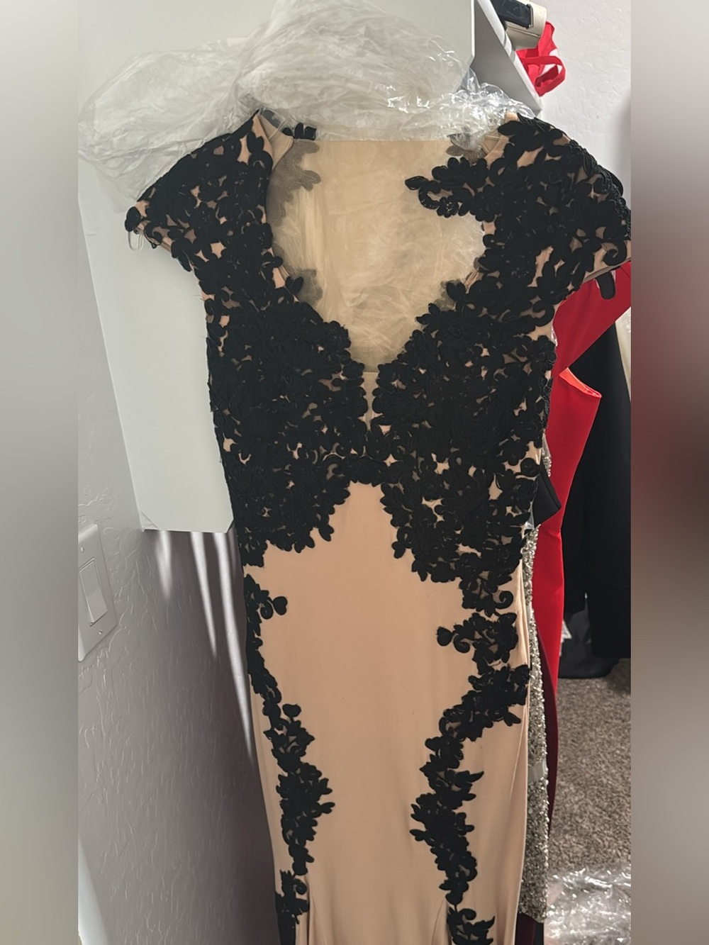 Betsy & Adam Black Lace Appliqué Evening Dress in Nude